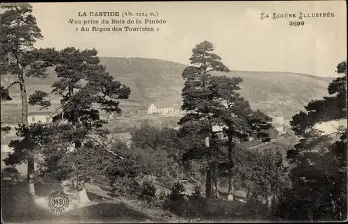 Ak La Bastide Lozère, Vue prise du Bois de la Pinede, Au Repos des Touristes