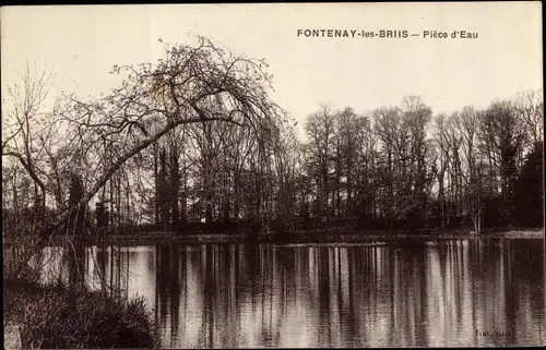 Ak Fontenay les Briis Essonne, Pièce d'Eau