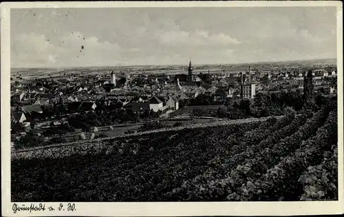Ak Grünstadt in Rheinland Pfalz, Panorama