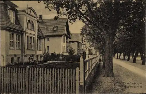 Ak Parchim in Mecklenburg Vorpommern, Buchholz Allee