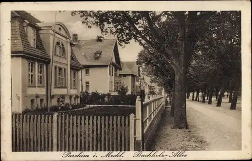 Ak Parchim in Mecklenburg Vorpommern, Buchholz Allee