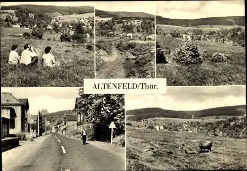 Ak Altenfeld Thüringen, Panorama vom Ort, Straßenpartie, Kuhweide