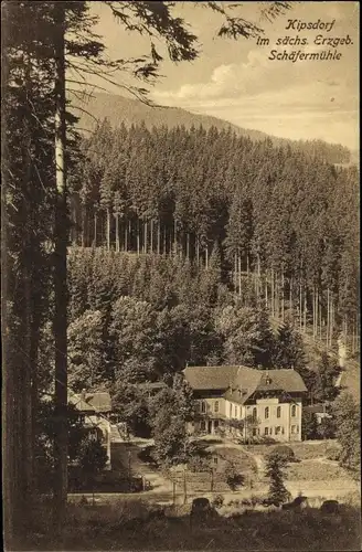 Ak Kipsdorf Altenberg im Erzgebirge, Blick auf die Schäfermühle, Wald