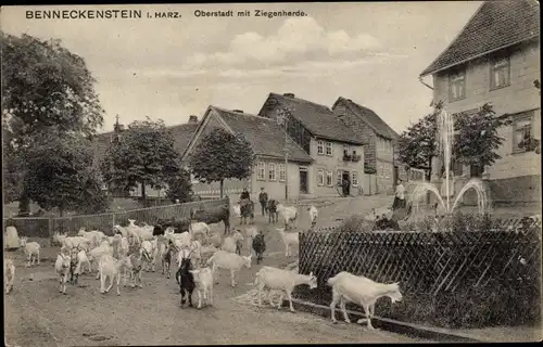 Ak Benneckenstein Oberharz am Brocken, Oberstadt mit Ziegenherde, Wohnhäuser