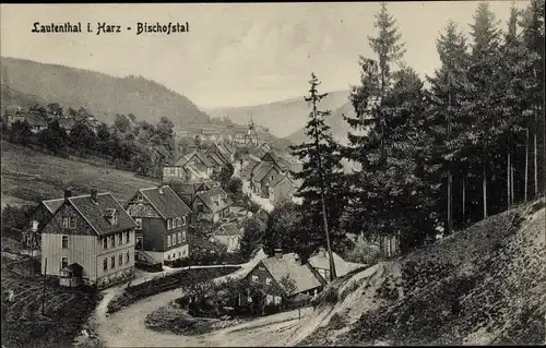 Ak Bergstadt Lautenthal Langelsheim am Harz, Wohnhäuser im Bischofstal