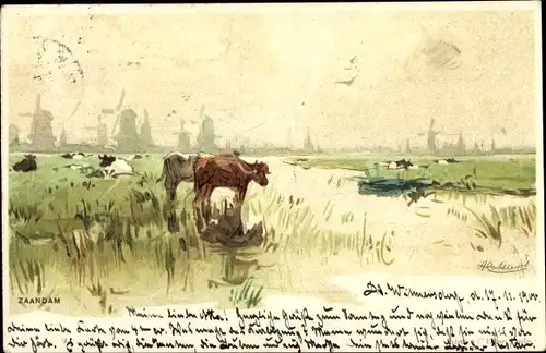Künstler Litho Cassiers, H., Zaandam Nordholland, Uferlandschaft mit Rinderherde, Windmühlen