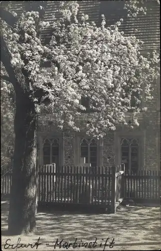 Foto Ak Erfurt in Thüringen, Martinstift, Baum, Kreuz