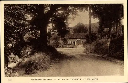 Ak Plombières les Bains Lothringen Vosges, Avenue de Lorraine, Le gros Chene