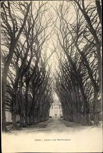 Ak Lardy Essonne, Avenue des Pastoureaux