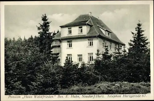 Ak Neudorf Harzgerode am Harz, Pension Haus Waldfrieden