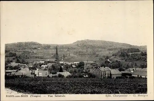 Ak Raon aux Bois Lothringen Vosges, Vue Generale