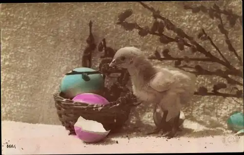 Ak Glückwunsch Ostern, Küken mit Ostereierkorb, Weidenkätzchen