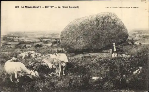 Ak Dettey Saône et Loire, La Pierre branlante, Felsen, Kühe