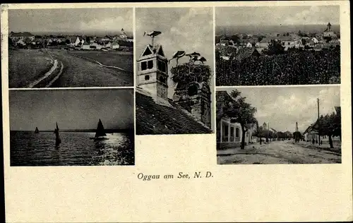 Ak Oggau am Neusiedler See im Burgenland, Storchennest, Panorama vom Ort, Segelboote auf dem See