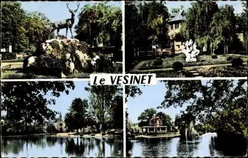 Ak Le Vesinet Yvelines, Cerf au Rond Point Royal, Ibis, les trois Sirenes, Lac de Croissy, Temple
