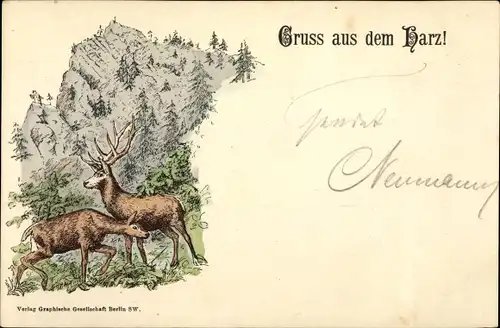 Litho Harz, Hirsch und Hirschkuh