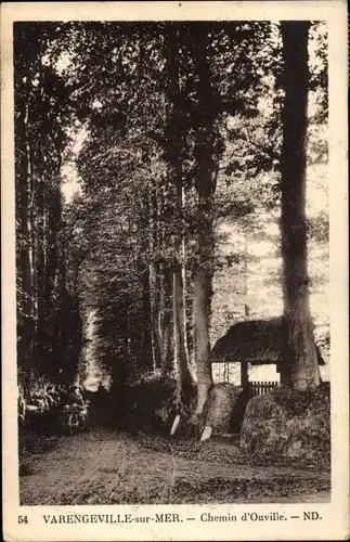 Ak Varengeville sur mer Seine Maritime, Chemin d'Ouville, forêt