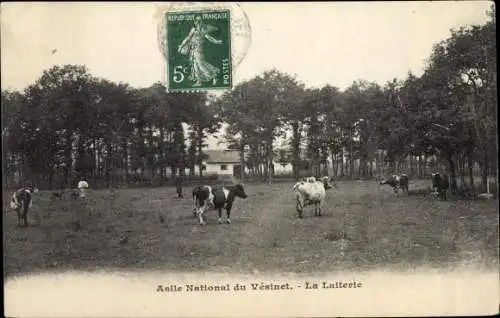 Ak Le Vesinet Yvelines, Asile Nationale, La Laiterie