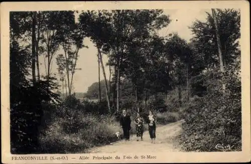 Ak Franconville Val d'Oise, Allée principale du Dois de Saint Marc