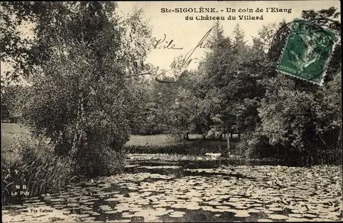 Ak Sainte Sigolène Haute Loire, Un coin de l'Etang du Chateau du Villard