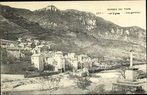 Ak Les Vignes Lozère, Vue générale