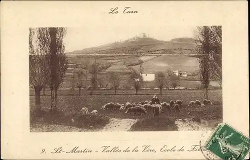 Ak St. Martin Tarn, Vallée de la Vère, Ecole de Filles, Schafherde