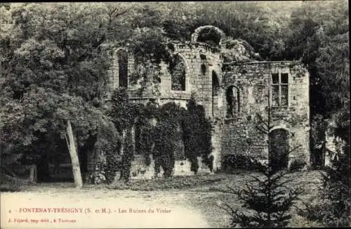 Ak Fontenay Tresigny Seine et Marne, Les Ruines du Vivier