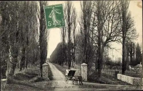 Ak Jouarre Seine et Marne, Avenue des Charmilles