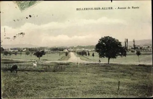 Ak Bellerive sur Allier, Avenue de Russie