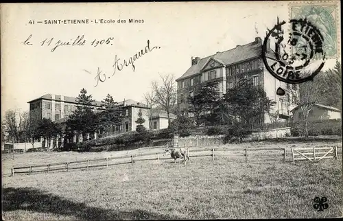 Ak Saint Étienne Loire, Ecole des Mines, vache