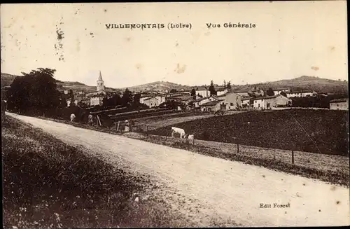 Ak Villemontais Loire, Vue générale