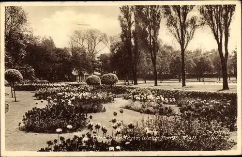 Ak Kingston upon Hull Yorkshire The Gardens, West Park