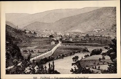 Ak Florac Lozère, Vue panoramique, Pont Neuf