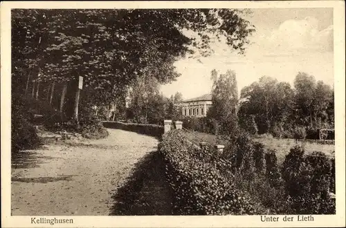 Ak Kellinghusen in Schleswig Holstein, Unter der Lieth