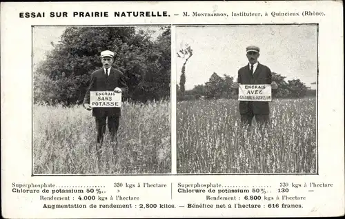 Ak Quincieux Rhone, Essai sur prairie naturelle, Encrais sans et avec Potasse