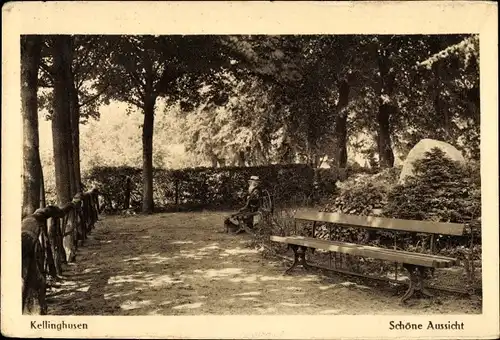 Ak Kellinghusen in Schleswig Holstein, Schöne Aussicht