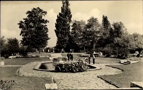 Ak Erfurt in Thüringen, Partie im Stadtpark, Teich