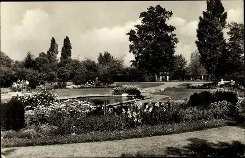 Ak Erfurt in Thüringen, Partie im Stadtpark, Teich