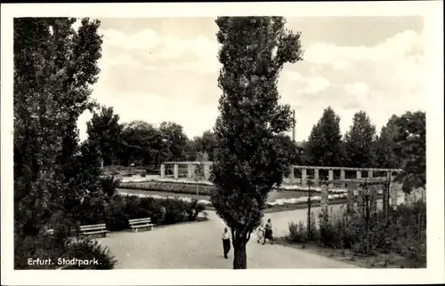 Ak Erfurt in Thüringen, Partie im Stadtpark