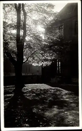 Foto Ak Erfurt in Thüringen, Kastanienhof am Predigerkloster