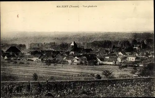 Ak Maligny Yonne, Vue générale, Blick auf den Ort, Felder, Kirche