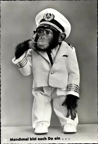 Ak Manchmal bist auf Du ein Affe, Schimpanse in Uniform, Käpten Jo's Jimmy