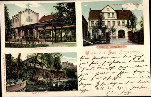 Ak Bad Lippspringe Nordrhein Westfalen, Trinkhalle, Pension Chr. Schulte, Lippe Quelle