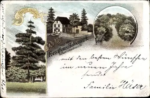 Litho Bad Sooden Allendorf in Hessen, Forsthaus Halbemark, Tanne, Wald