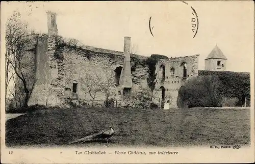 Ak Le Chatelet Cher, Chateau, Ruines