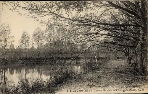 Ak Le Chatelet Cher, Etang de Vieille Foret