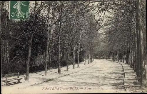 Ak Fontenay sous Bois Val de Marne, Allée du Bois