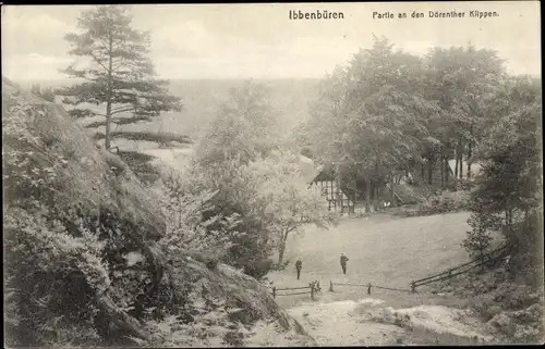 Ak Ibbenbüren im Tecklenburger Land, Partie an den Dörenther Klippen