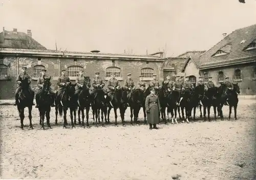 Foto Ak Deutsche Soldaten in Uniformen, Pferde, Gruppenportrait
