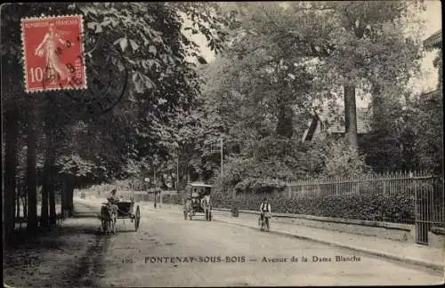 Ak Fontenay sous Bois Val de Marne, Avenue de la Dame Blanche